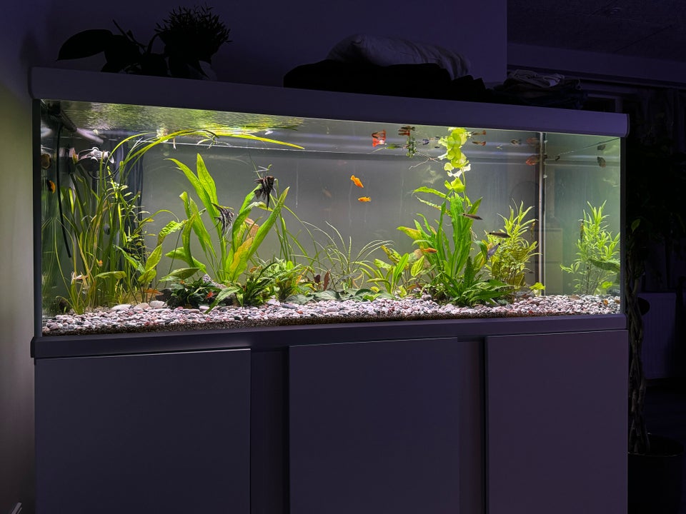 Akvarium, 576 liter, b: 160