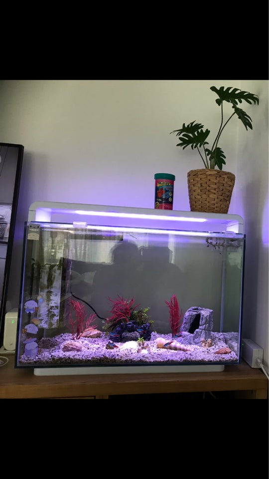 Akvarium 60 liter b: 59 d: 33 h: 43