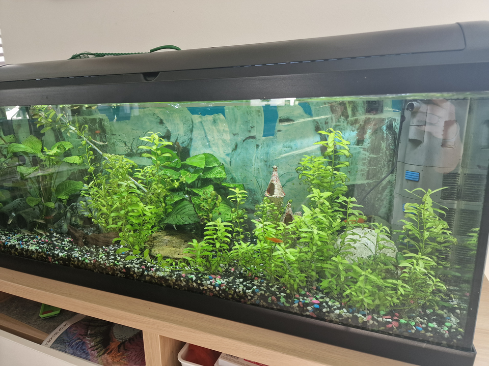 Akvarium