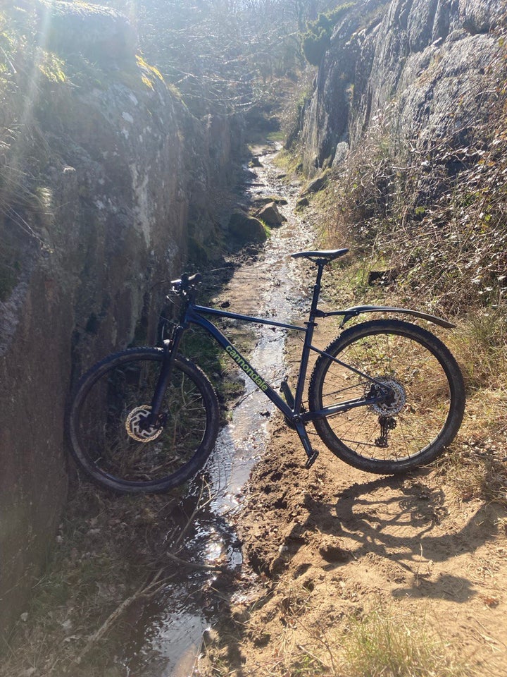 Cannondale Trail Sl2, hardtail, L