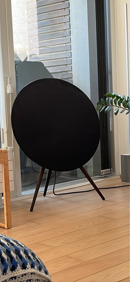 Højttaler, Bang  Olufsen, Beoplay