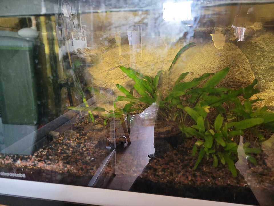 Akvarium 125 liter b: 80 d: 40 h: 40