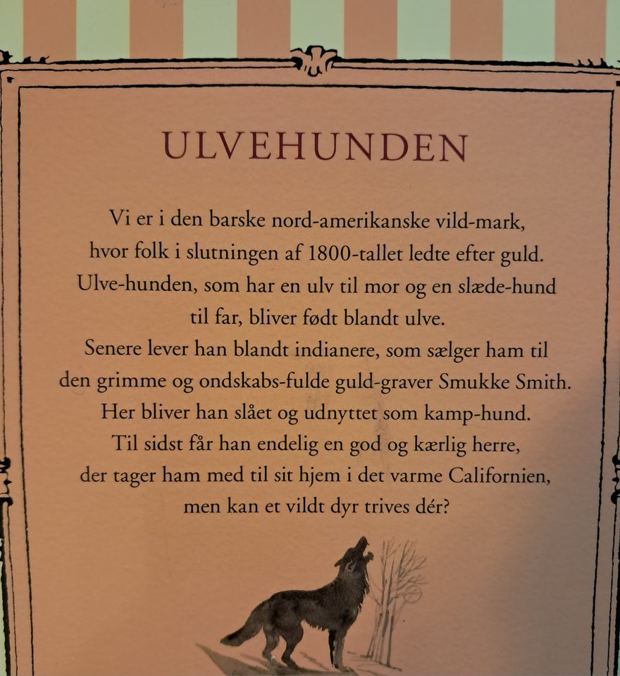 Ulvehunden, Jack London, Maj