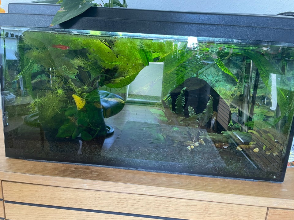 Akvarium 54 liter