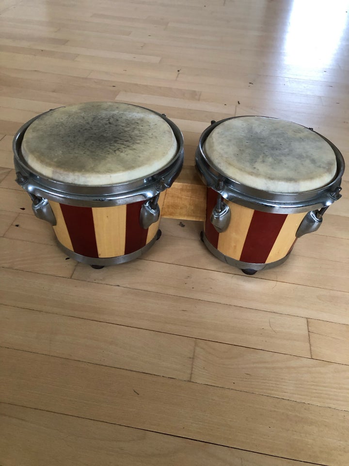 Bongos, Thomann