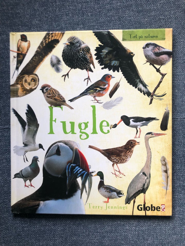 Fugle, Globe, anden bog