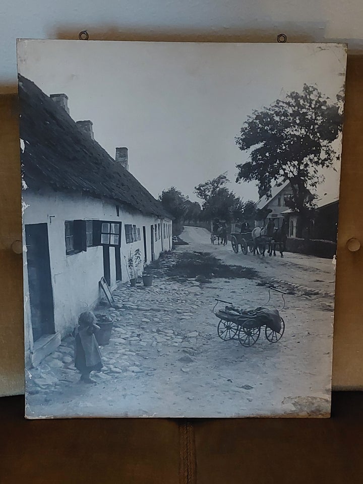 Fotografi fra 1899 motiv: