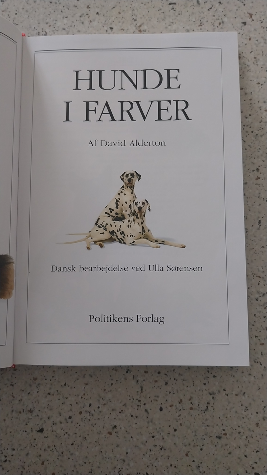 Hunde i farver, Politiken, emne: