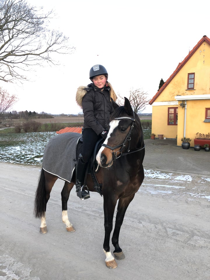 Smuk Dansk Sports Pony -Dre...