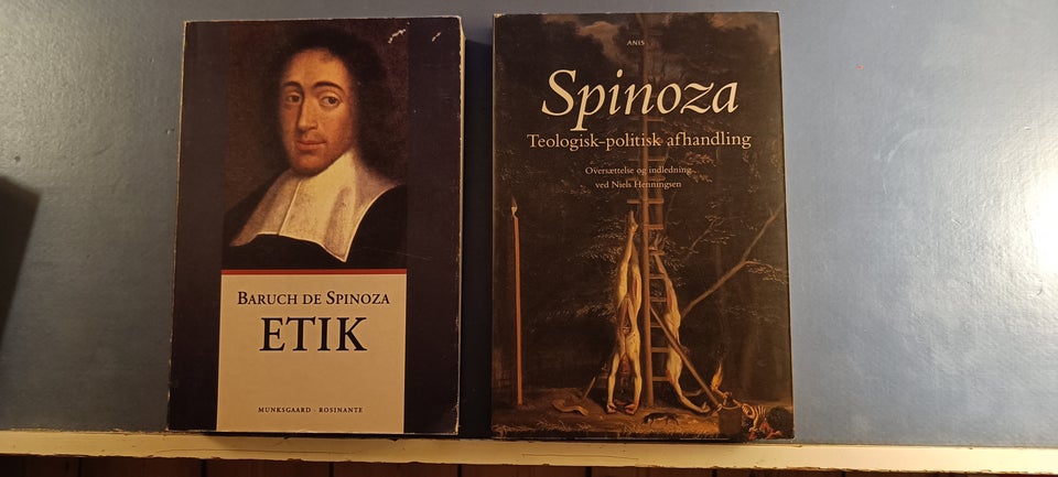 Hobbes og Spinoza, Spinoza, Noel