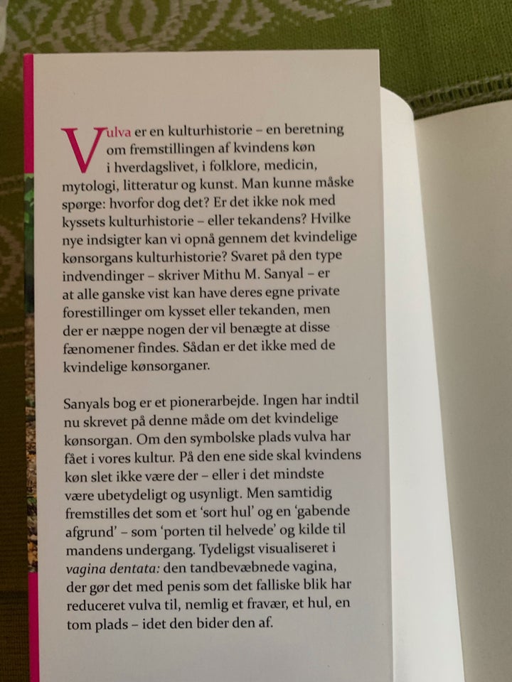 Vulva Det usynlige køn, Mithu M.