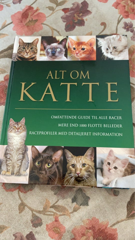 ALT OM KATTE - omfattende guide til