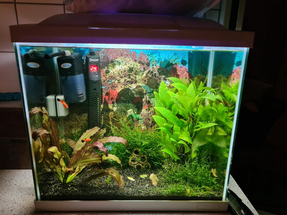 Akvarium 40 liter