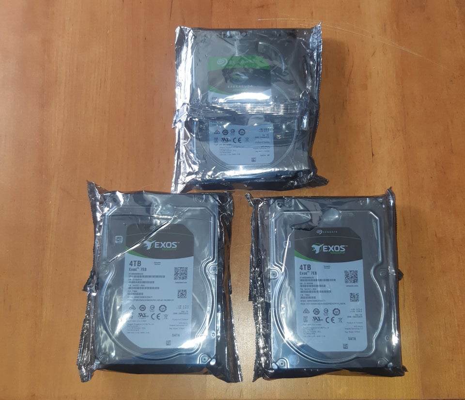 Seagate Exos 4000 GB Perfekt