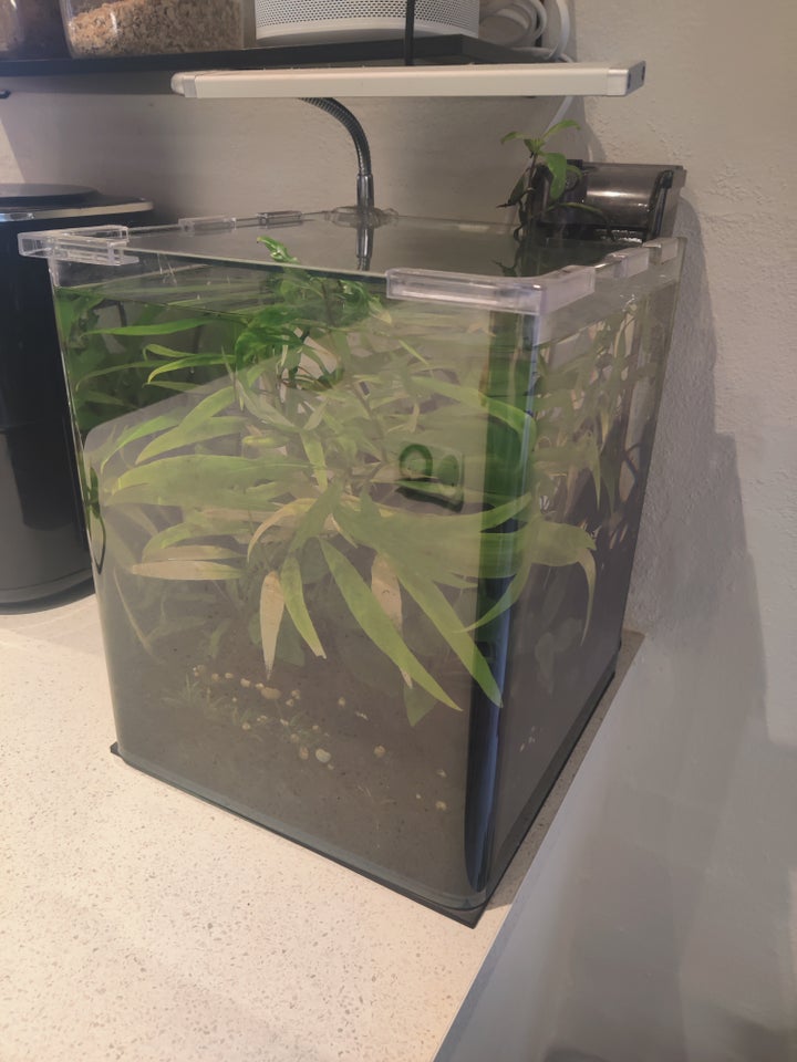 Akvarium, 32 liter, b: 30 d: 30 h: 35