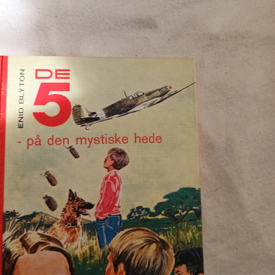 De 5- på den mystiske hede, Enid