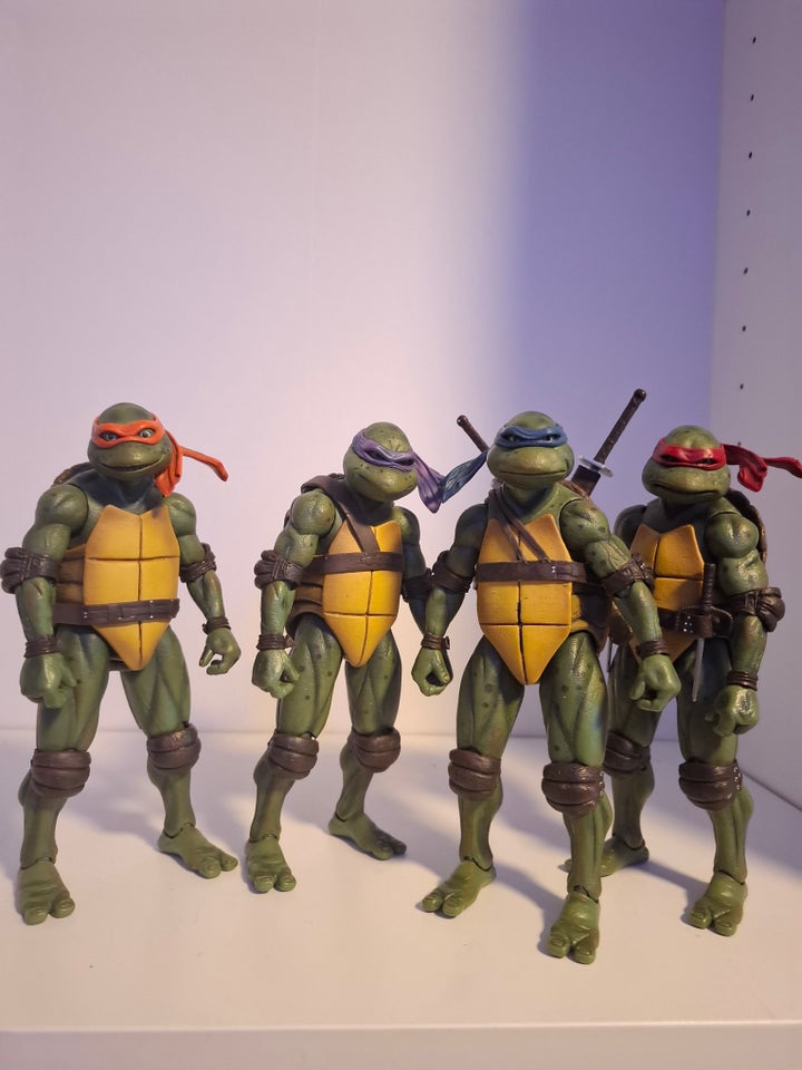 Teenage Mutant Ninja