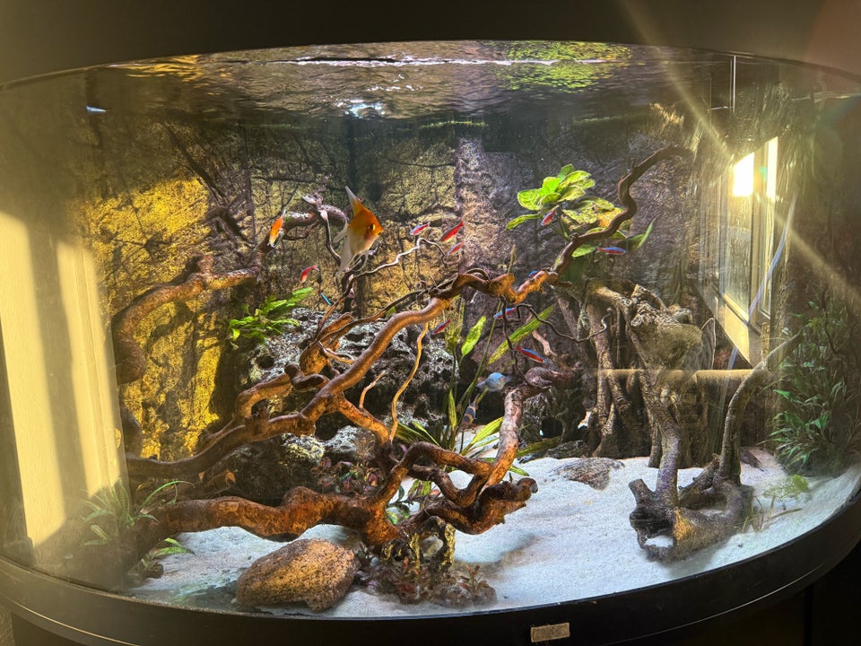 Akvarium, 350 liter