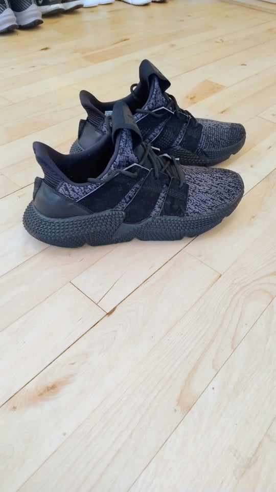 Sneakers, Adidas prophere, str.