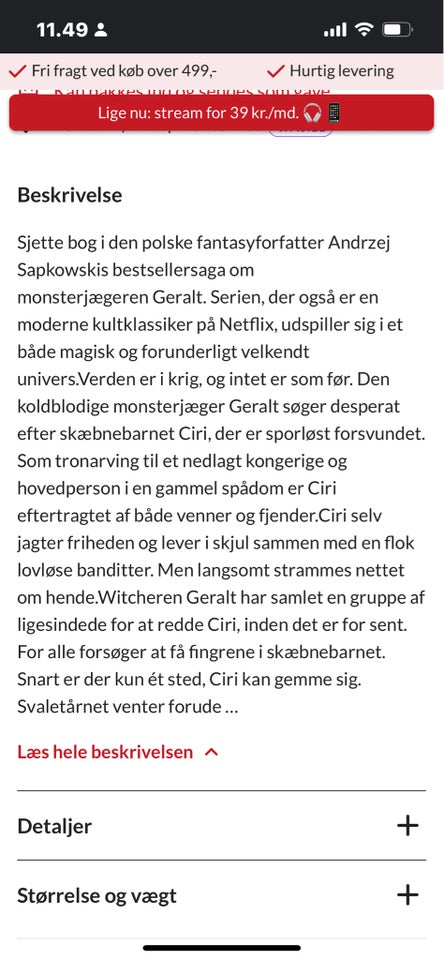 The witcher 6 - svaletårnet ,