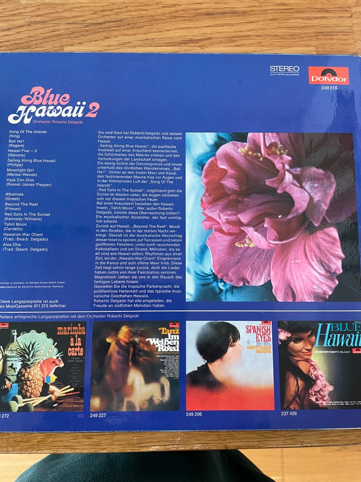 LP Roberto Delgado  Blue Hawaii 2