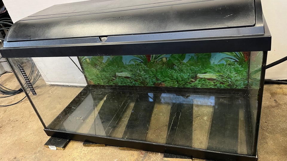 Akvarium, 100 liter, b: 80 d: 38 h: 35