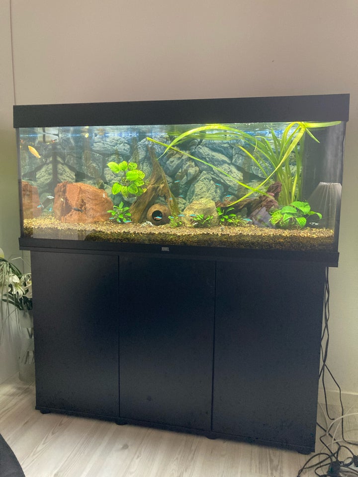 Akvarium, 240 liter, b: 121 d: 41 h: