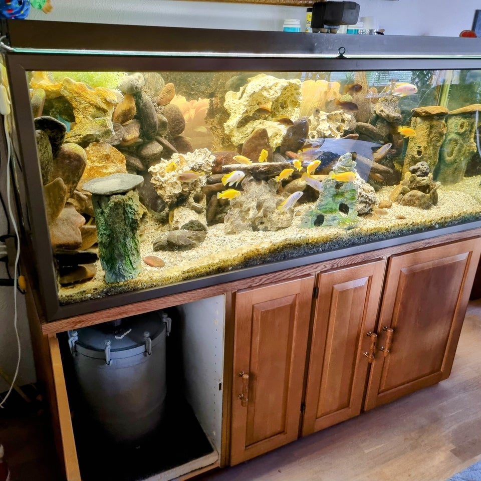 Akvarium, 560 liter, b: 160 d: 55 h: