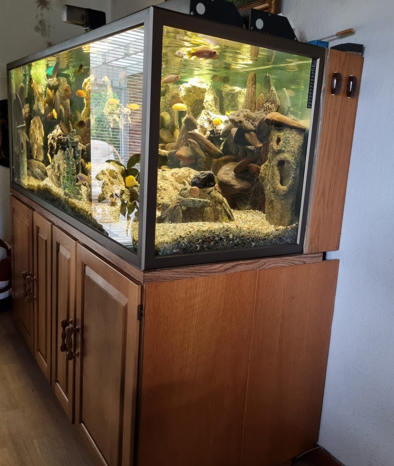 Akvarium, 560 liter, b: 160 d: 55 h: