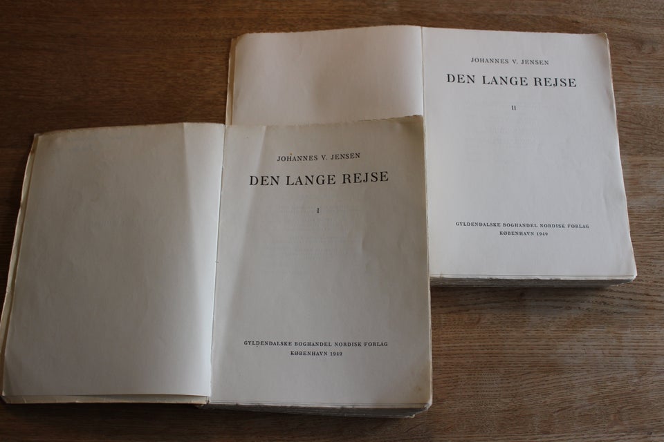 Den lange rejse, Johannes V.