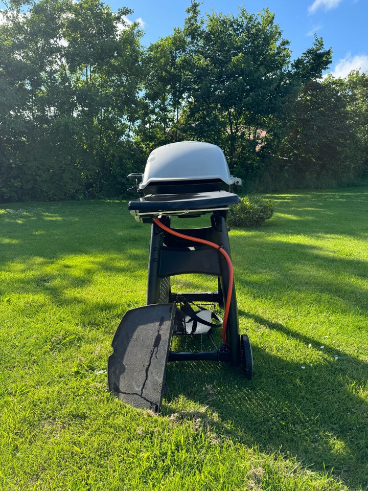 Gasgrill Weber