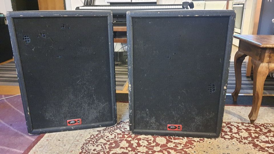 PA Højtalere, Peavey UL15