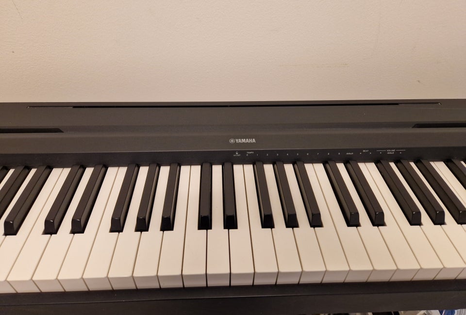 Elklaver, Yamaha P-45