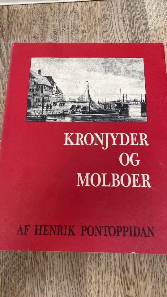 Kronjyder og molboer, emne: