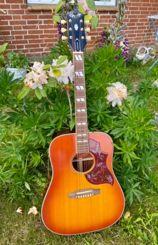 Halvakustisk, Epiphone