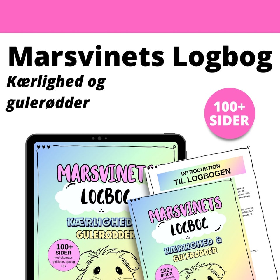 JULEGAVE IDÉ - Marsvinets Logbog