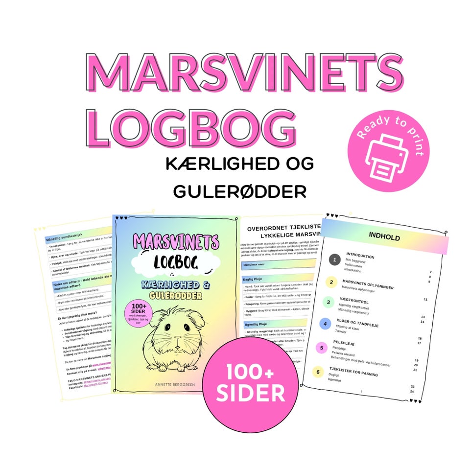 JULEGAVE IDÉ - Marsvinets Logbog