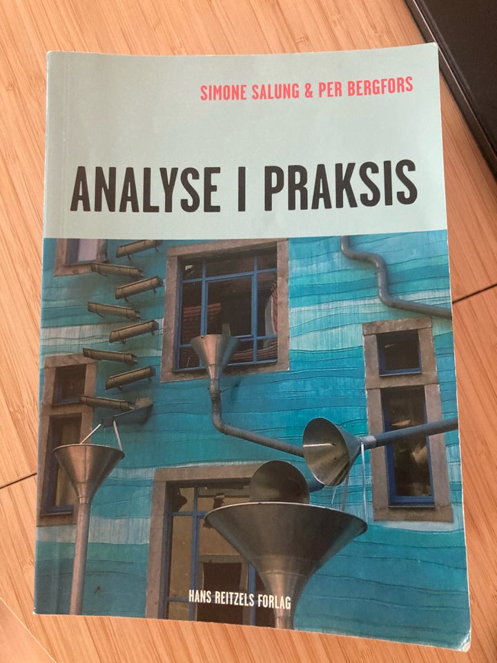 Analyse i praksis , Simone Salung og