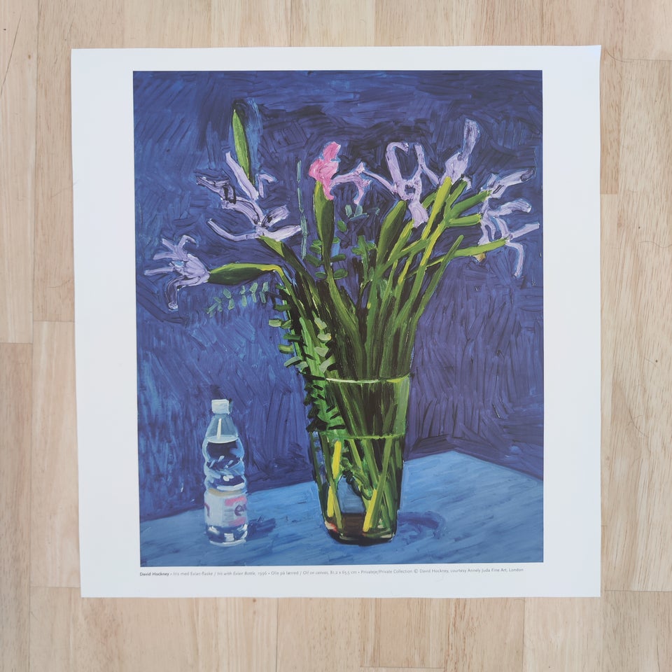 Plakat / Tryk David Hockney