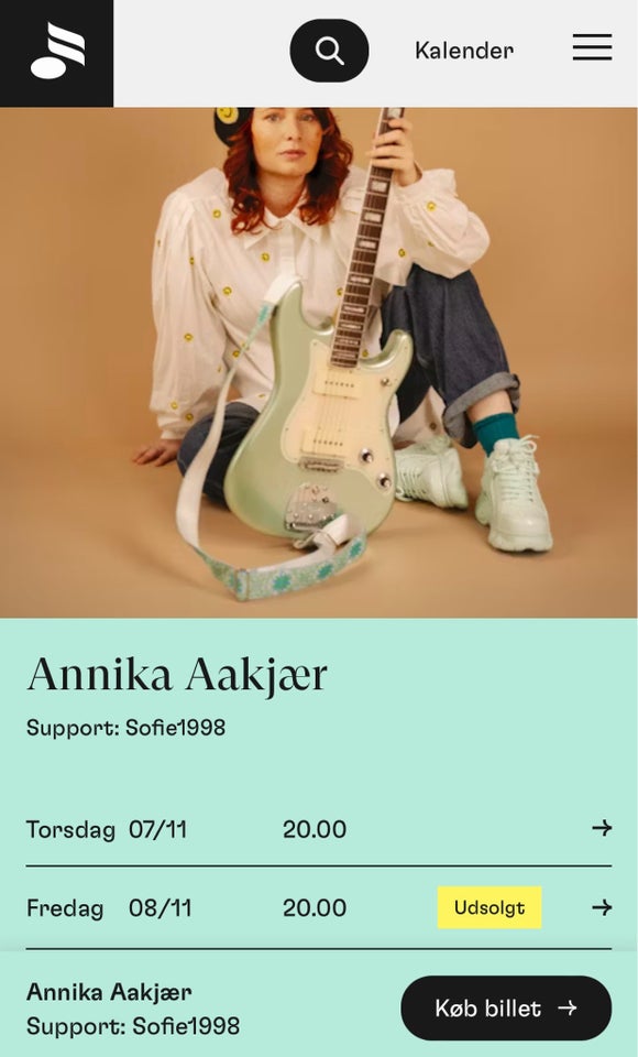 Annika Aakjær: Musikhuset, andet