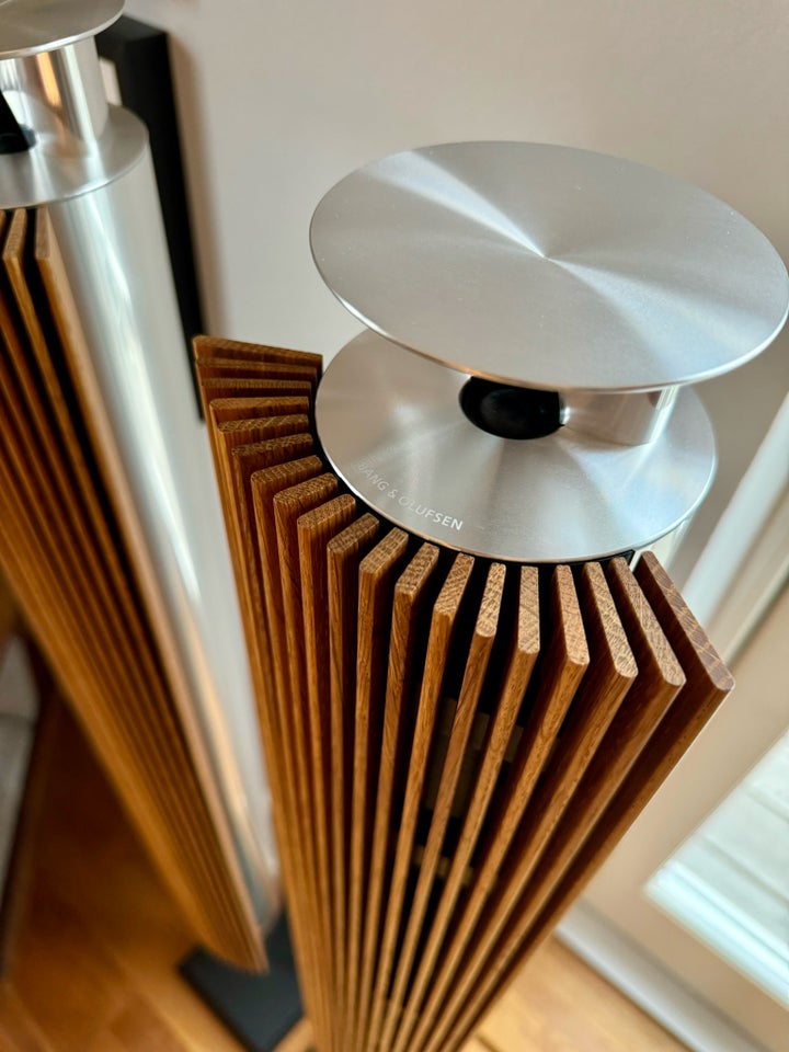 Højttaler, Bang  Olufsen, Beolab