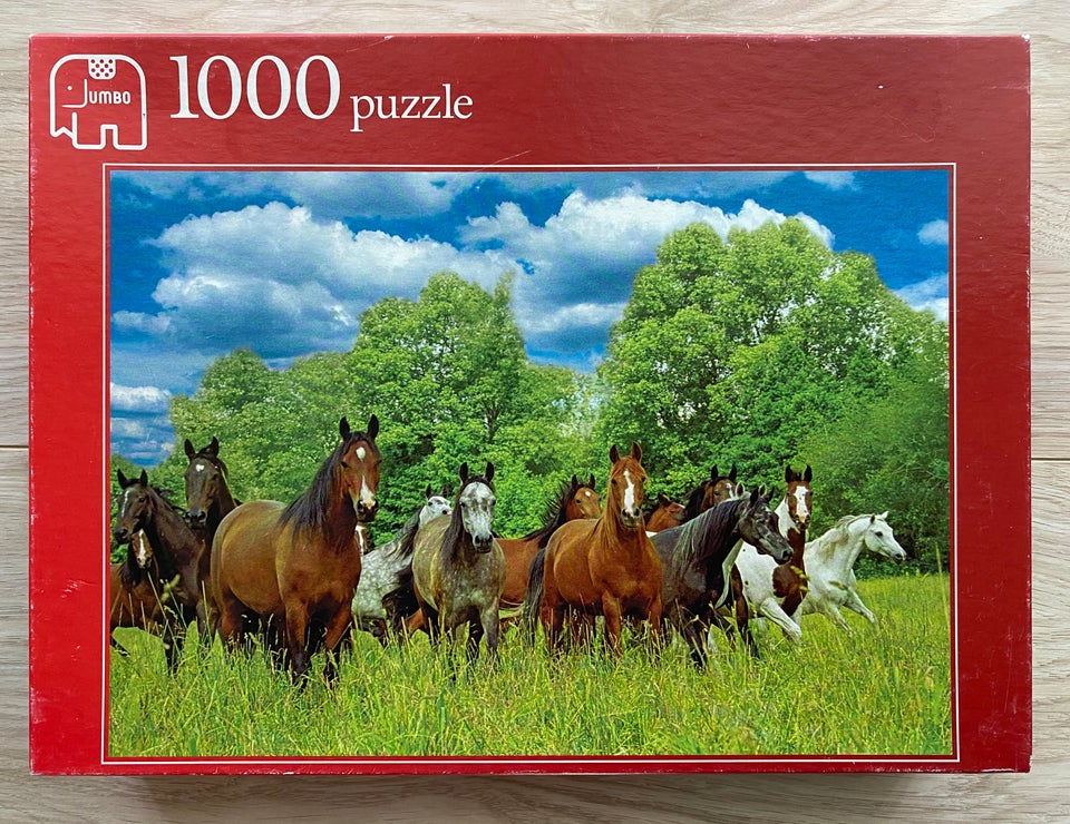 Wild horses in the field 1000