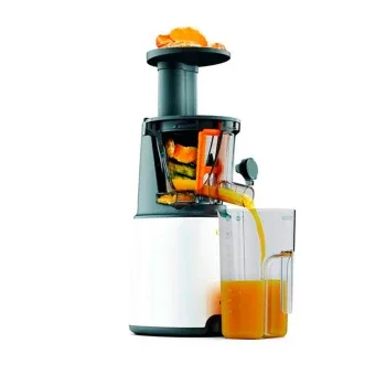 Kenwood slow juicer