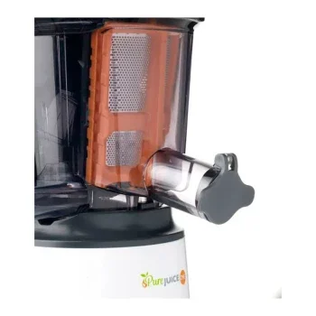 Kenwood slow juicer