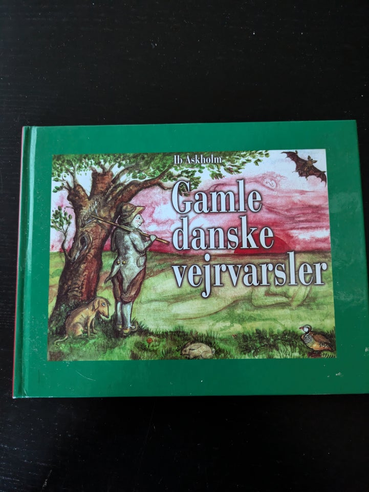 Gamle danske vejrvarsler, Ib