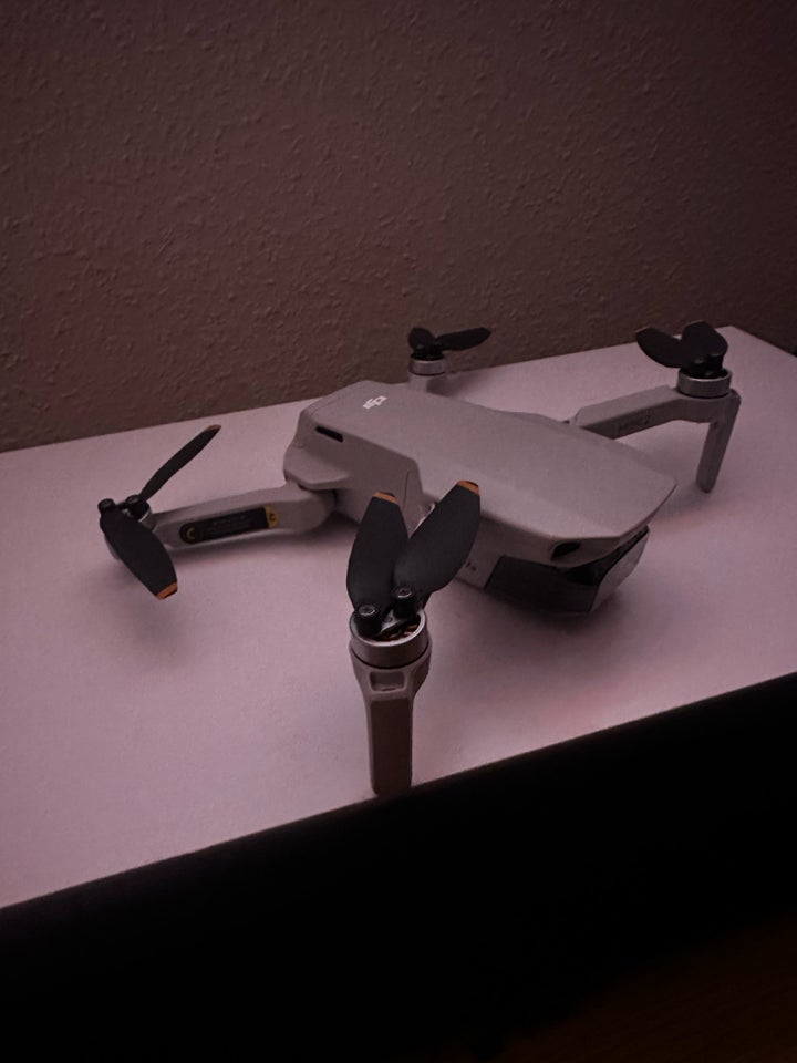 Drone, DHL Mini 2