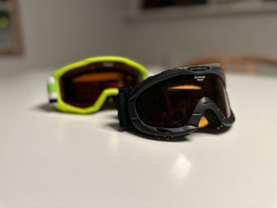 Skibriller Alpina str One size