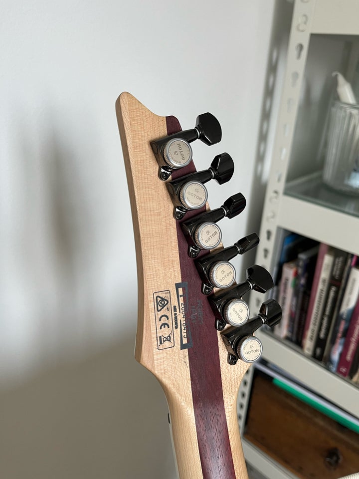 Elguitar, Ibanez RGIB21