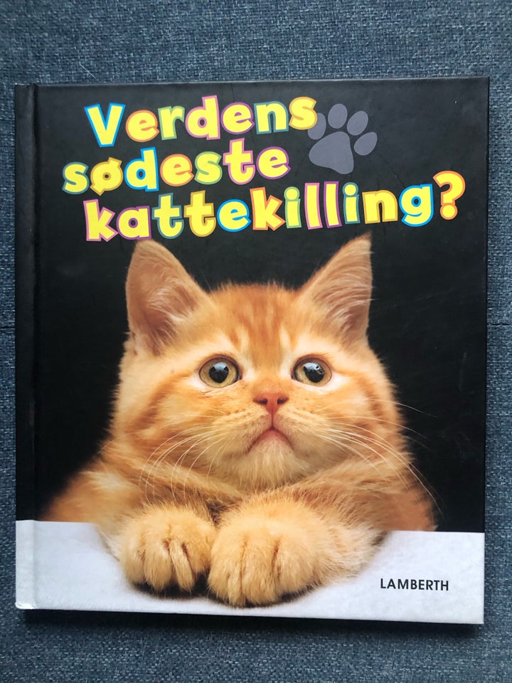 Verdens sødeste kattekillinger,