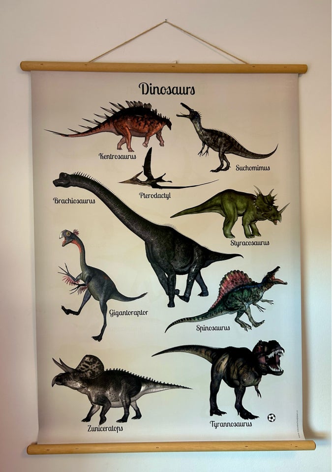 Billede, Dinosaurus plakat